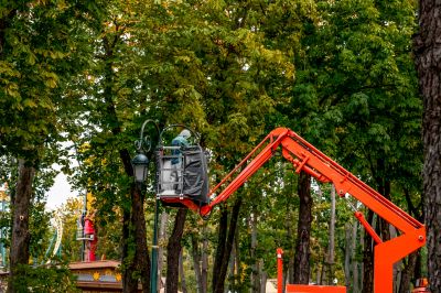 Local Bucket Guide to Bucket Truck Services for Property Owners | Key Bucket Truck ...
